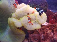 -沈阳海洋探索中心