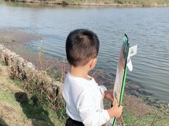 -春花秋色城市公园