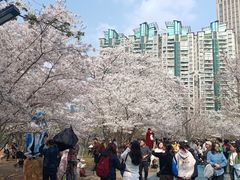 -西北湖绿化广场