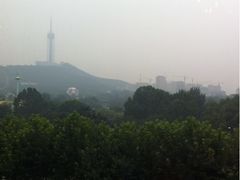 从包间望出去的风景-万宝海鲜舫(劳动公园店)