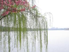 -羊山湖公园