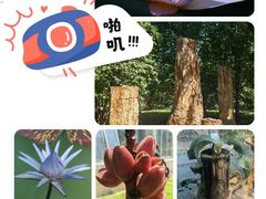 -国家植物园南园