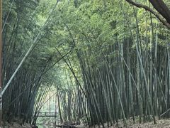 -同里国家湿地公园