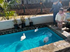 -HERRE·FARM 赫尔露营农场·团建聚会包场