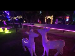 -枫花园汽车电影院(朝阳公园店)