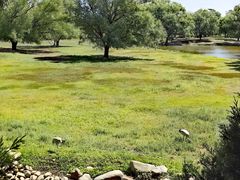 -北京麋鹿生态实验中心