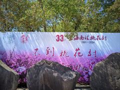 -南汇桃花村