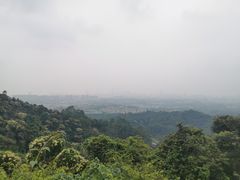 -火炉山森林公园