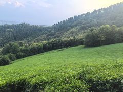 -敬亭山风景名胜区