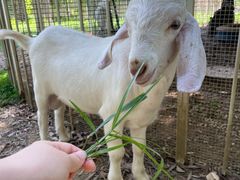 -福建鲤鱼洲酒店