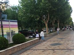 -西树泡芙(蓝色港湾店)