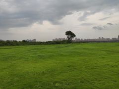 -盘龙城国家考古遗址公园