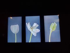 -上海当代艺术博物馆
