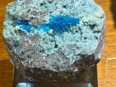 -青岛德国总督楼旧址博物馆
