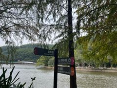 -深圳仙湖植物园