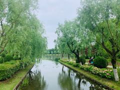 -上海鲜花港
