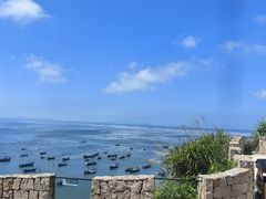 -枸杞岛