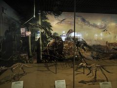 -恩格贝生态旅游区