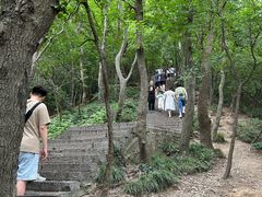 -紫金山山顶公园