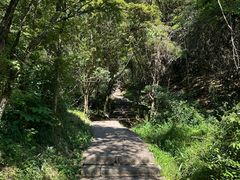 -武夷山风景名胜区-虎啸岩
