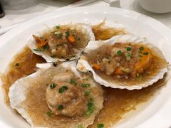 扇贝-金时代顺风大酒店(临港百联店)