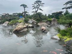 -罗红摄影艺术馆