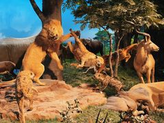 -国家自然博物馆