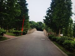 -眉山湿地公园(东坡区)