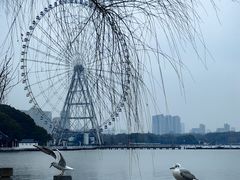 -无锡蠡湖国家湿地公园-蠡园
