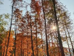 -广州市白云山风景名胜区