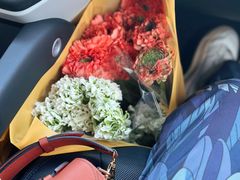 -自由生长植物工作室(深港花卉中心店)