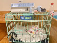 -瑞派宠物医院·24小时骨科·心脏·核磁(哈尔滨南岗店)