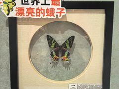 -深圳龙华星河COCO City(民治店)