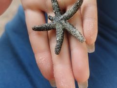 -东姑阿都拉曼海洋公园