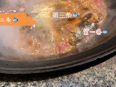 -山里屯铁锅炖(哈尔滨中央大街店)