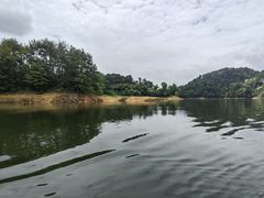 -千岛湖城中湖游船码头
