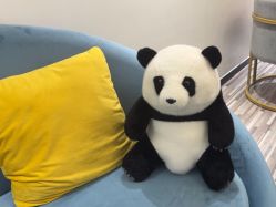 -AiCure 埃可儿·韩国医学皮肤管理