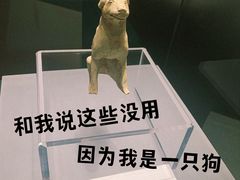 -隋唐大运河文化博物馆