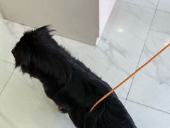 -艾吉宠物医院·疑难杂症转诊中心·猫友好(碧江路院)
