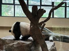 -宁波野生动物园