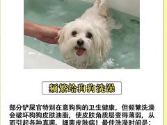 -美联众合动物医院·24h转诊中心