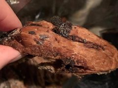 -法诗甜蛋糕店(皇姑大润发店)