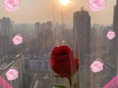 -FEI FEI FLOWER鲜花店·气球派对·宝宝宴布置(虹口德必运动Loft店)