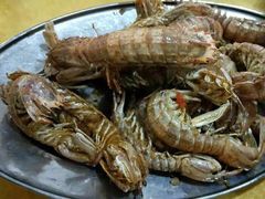 -蚝专家(北滘店)