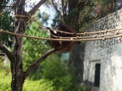 -云南野生动物园