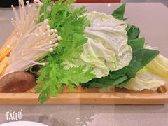 -蝎王府羊蝎子(西直门店)