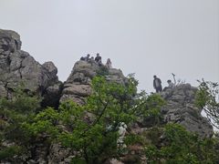 -牛背梁国家森林公园