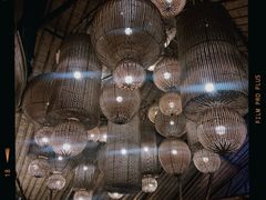 -FINNS Beach Club