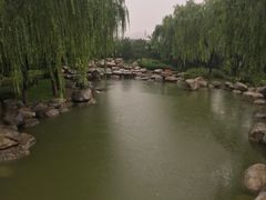 -西安青龙寺遗址景区