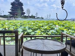 -阳澄湖半岛旅游度假区